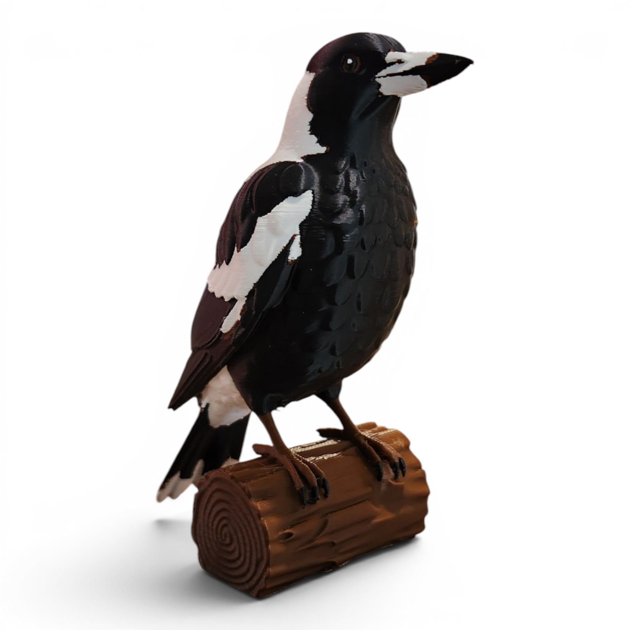 Australian Magpie Statue