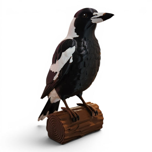 Australian Magpie Statue