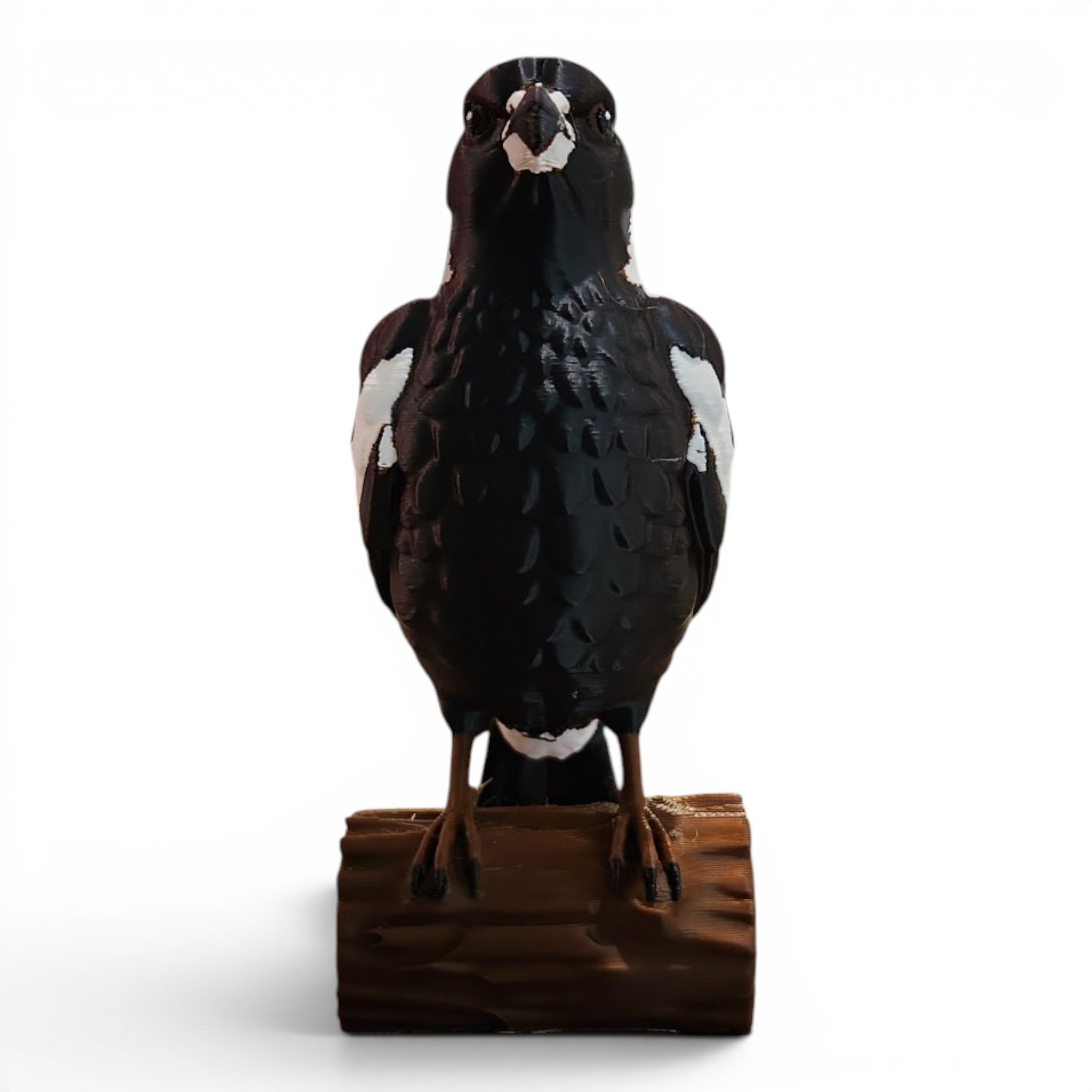 Australian Magpie Statue