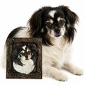 3D Pet Pawtrait