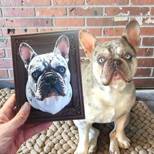 3D Pet Pawtrait