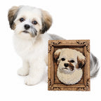 3D Pet Pawtrait